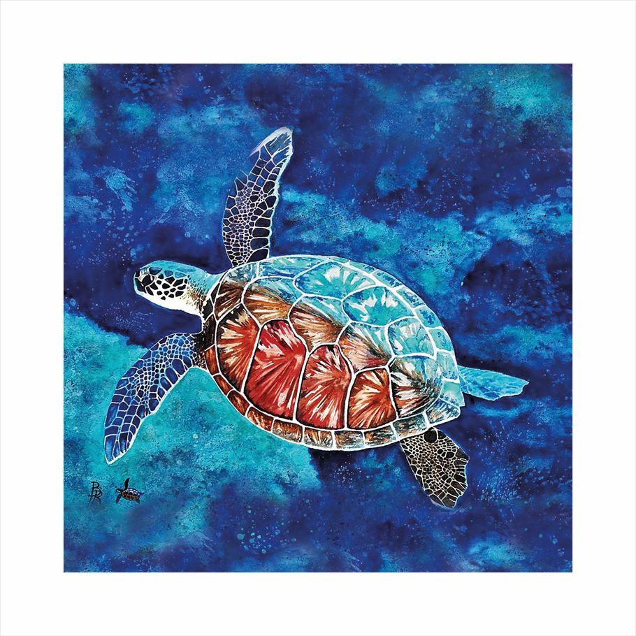 "Marie-Galante côté mer, la tortue"