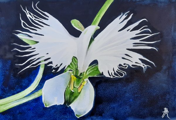 "Le pouvoir des fleurs"