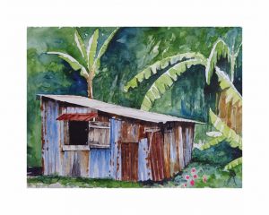 Reproduction d'une aquarelle originale de Bertrand Rouby : maison créole de Marie-Galante dans un jardin