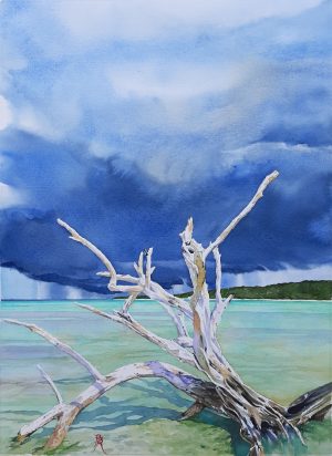 paysage marin à Marie-Galante : aquarelle originale de Bertrand Rouby : arbre mort au bord de l'eau sur une lagune
