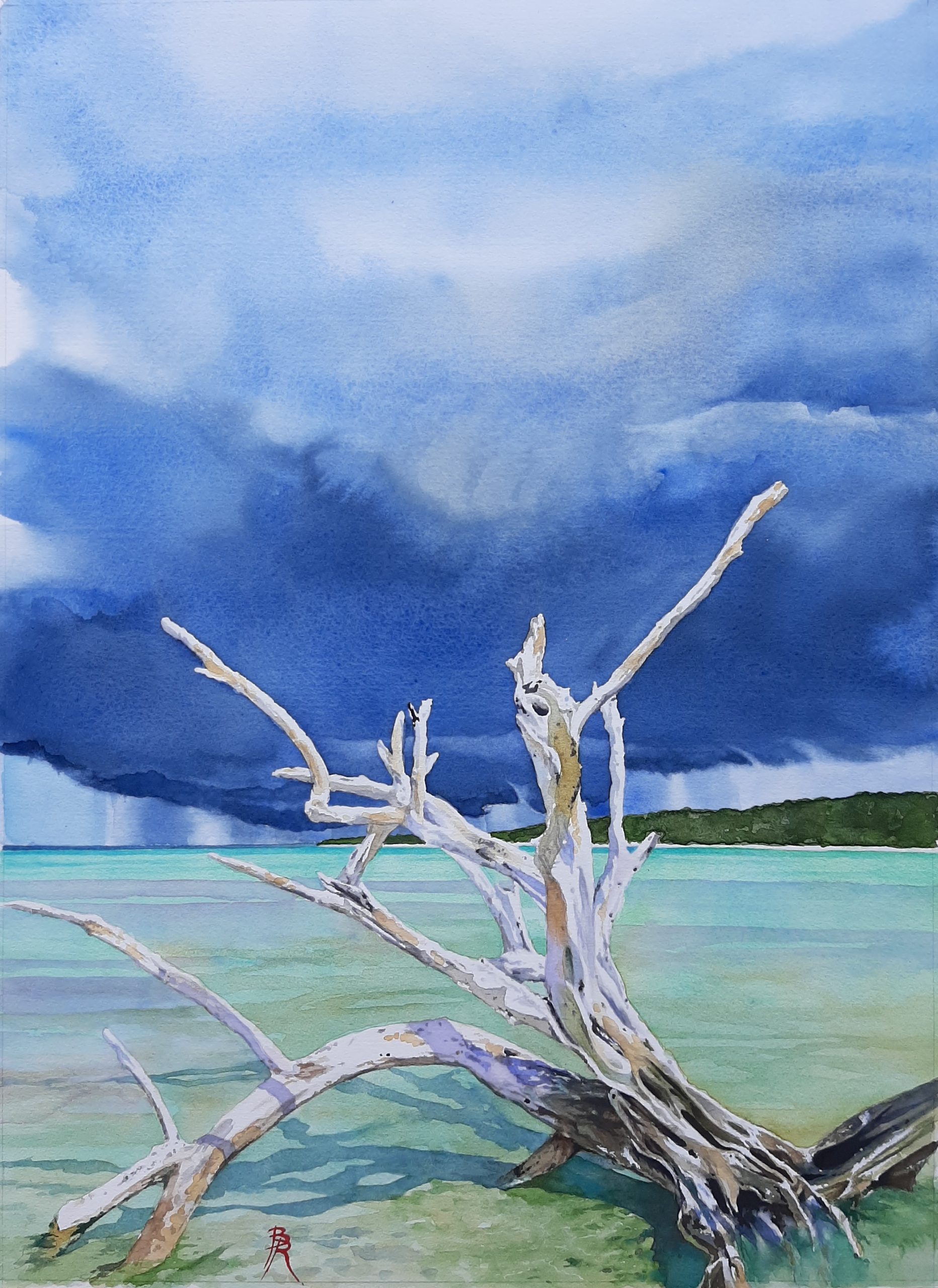 paysage marin à Marie-Galante : aquarelle originale de Bertrand Rouby : arbre mort au bord de l'eau sur une lagune