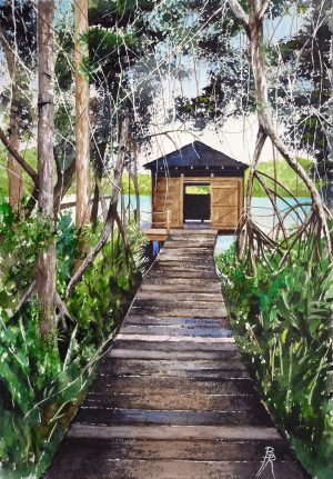 Aquarelle originale d'un paysage de Marie-Galante en Guadeloupe, avec une petite cabane en bois au bout d'un ponton dans le foisonnement végétal de la mangrove, au bord de la rivière